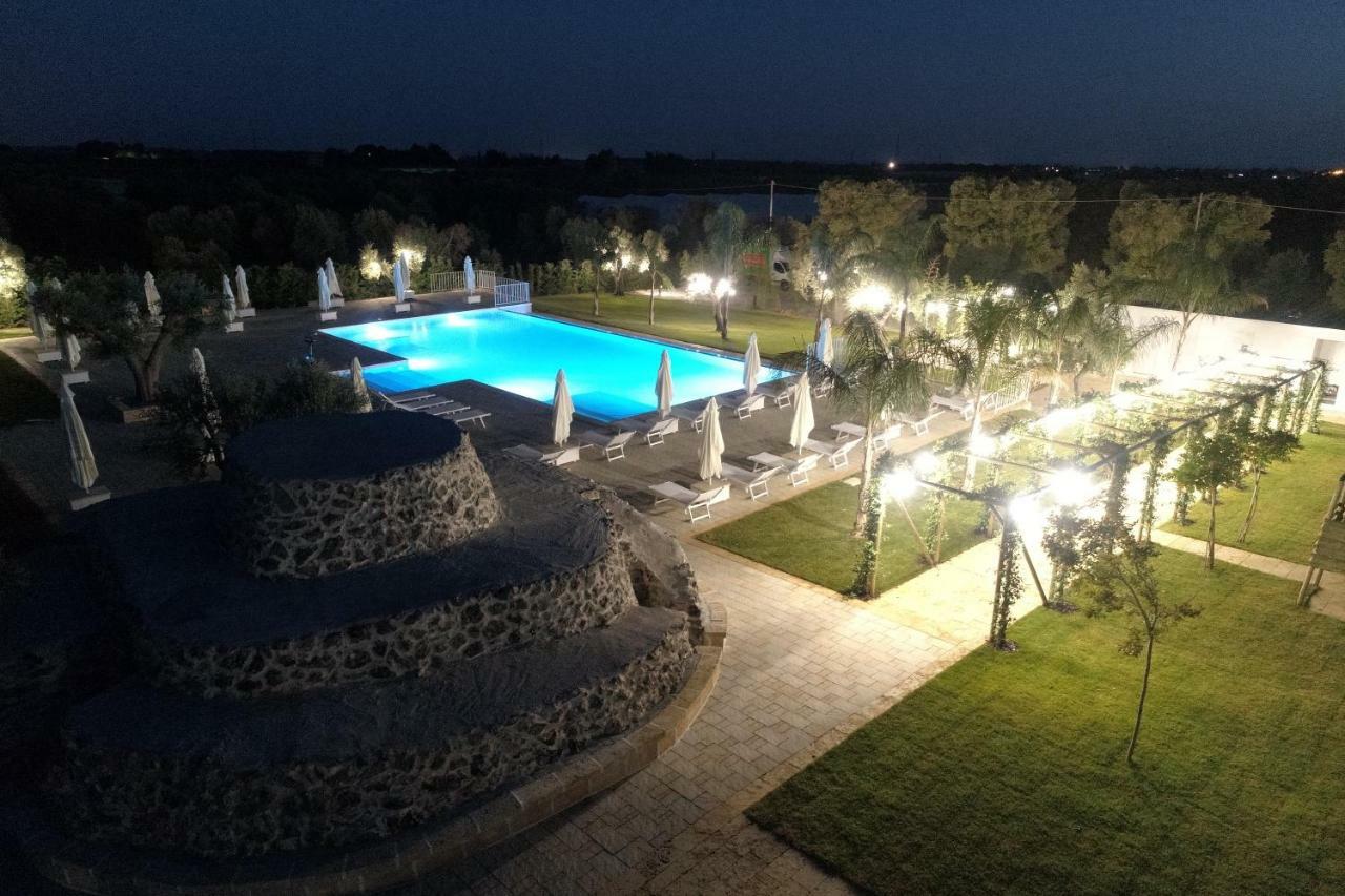 L'ulivo E La Stella *